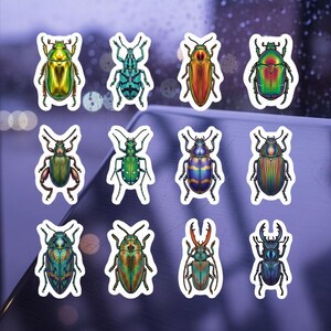 May include: A collection of twelve colorful beetle stickers. Each sticker features a detailed illustration of a different beetle species, showcasing a variety of colors including green, blue, red, and gold. The stickers are set against a blurred background.