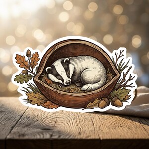 May include: A sticker featuring a sleeping badger nestled in a walnut shell. The badger has black and white markings. The shell is brown, surrounded by autumn leaves and acorns. The sticker is on a wooden surface.