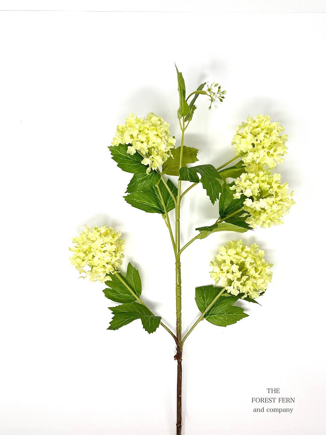 36 Artificial/faux Lime Light Snowball Hydrangea Stem Etsy