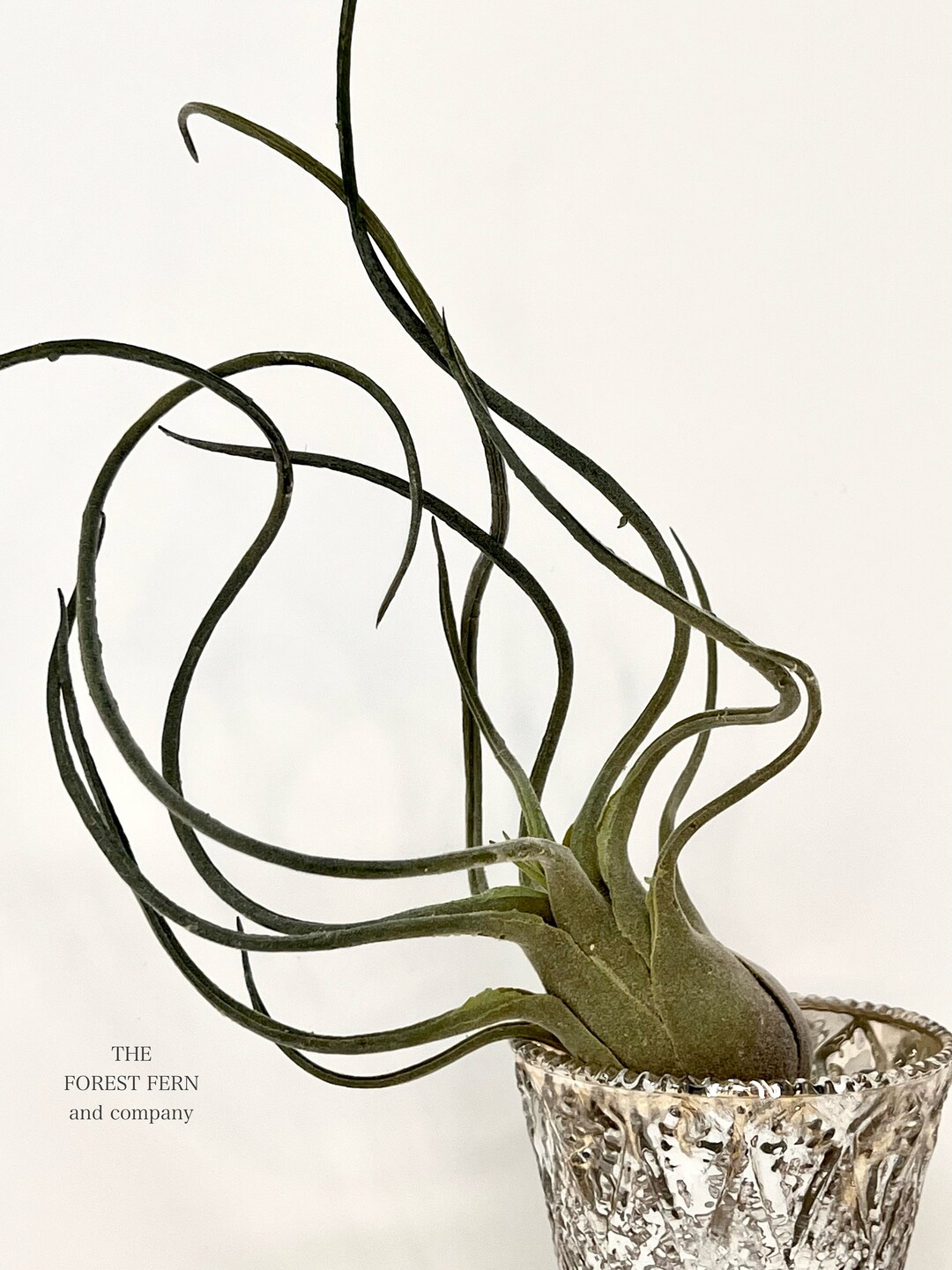 10 Artificial/faux Air Plant Succulent Stem Artificial Etsy