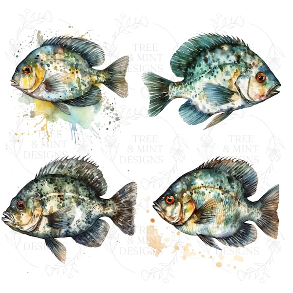 Crappie Fish Clip Art, Saltwater Fish PNG, Swimming Fish Digital File, Free Commercial Use, Watercolor Illustration of Fish, Crappie Fish