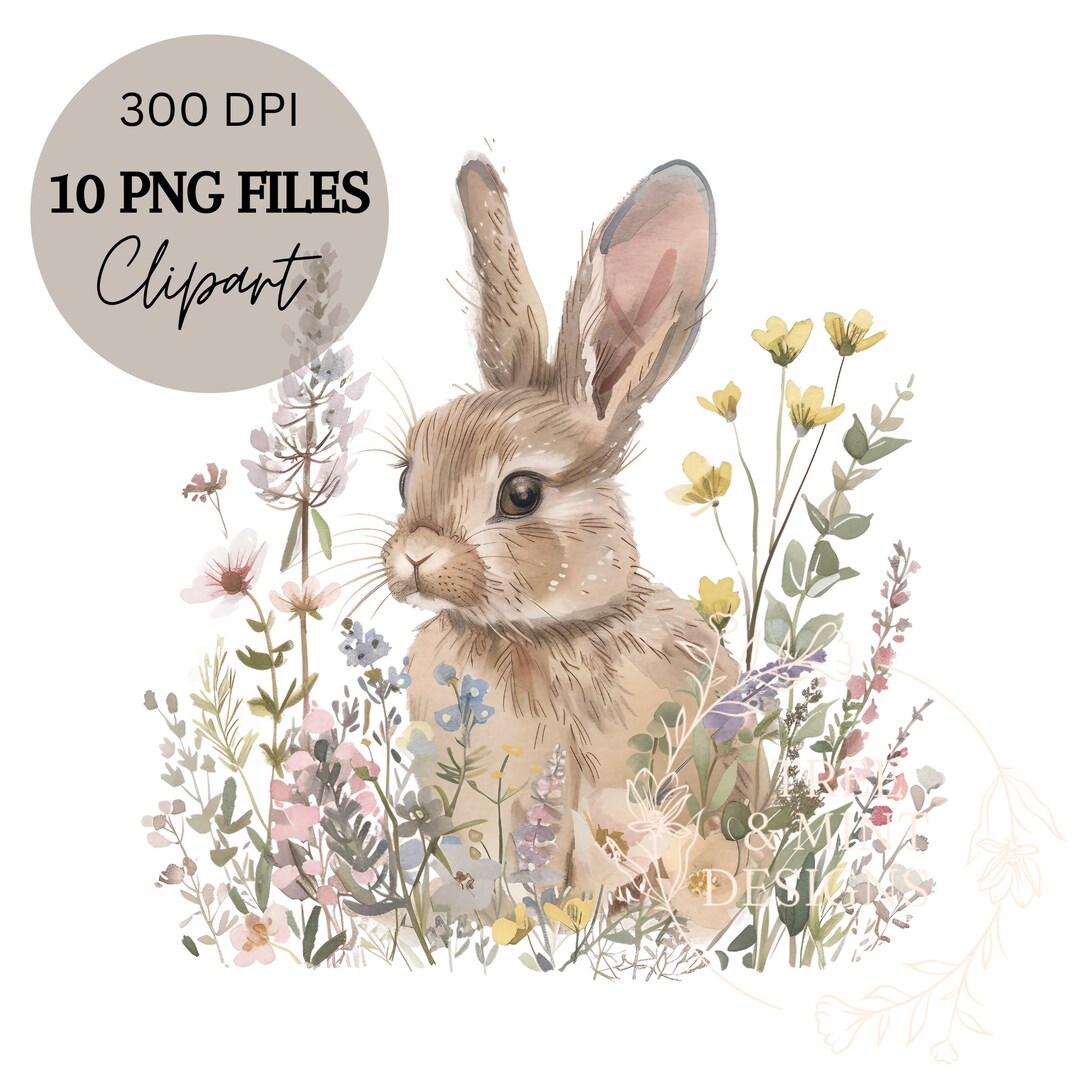 Floral Bunny Clipart, Rabbit PNG, Watercolor Bunny Clipart, 10 PNG ...
