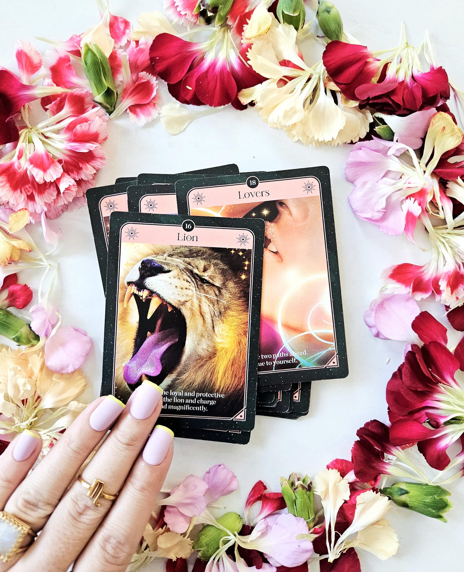 SAME DAY 1 Question Brief Advice Oracle Cards Reading, Ask Anything ...