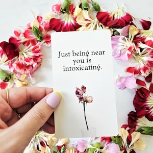 Hidden Messages From Your Person, 6 Message Cards ONLY, SAME DAY Hidden Truth Oracle Card Reading, Intuitive Psychic Card Pull, Love Matters