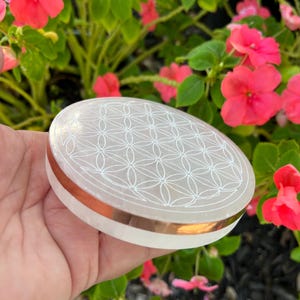 May include: A white, oval-shaped stone with a copper-colored band. The top surface features a white, geometric flower of life pattern. The background includes pink flowers and green foliage.