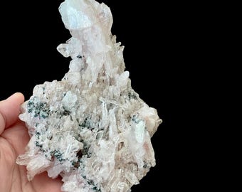May include: A cluster of pale pink quartz crystals with clear, pointed formations. The quartz is interspersed with small, dark green mineral deposits. The specimen is held against a black background, highlighting the natural beauty of the crystal.