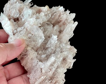 May include: A cluster of translucent, light pink quartz crystals with sharp, pointed terminations. The crystals are densely packed, creating a textured surface. The background is black, highlighting the natural beauty of the mineral specimen.