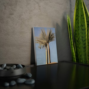 Könnte beinhalten: Ein Leinwanddruck mit einer Palme vor blauem Himmel. Das Kunstwerk zeigt den Stamm und die Wedel des Baumes im Detail, mit einer neutralen Farbpalette. Der Druck wird auf einer schwarzen Oberfläche angezeigt.