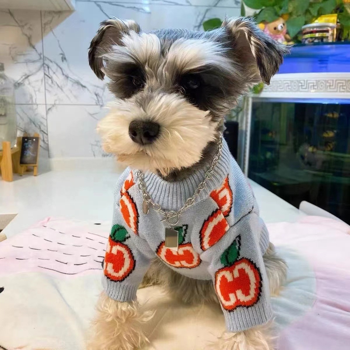 Gucci Dog Clothes - Etsy