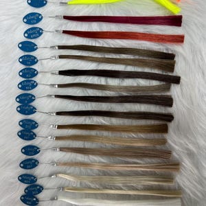 May include: A collection of hair extensions in various colors, including bright orange, yellow, burgundy, and shades of brown and blonde. Each extension is attached to a small, blue tag with a silver wire.