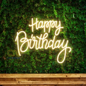 Happy Birthday Neon Sign, Party Neon Sign, Custom Birthday Party LED Sign, Home Wall Decor, Neon Party Backdrop, Decoration Birthday Gift