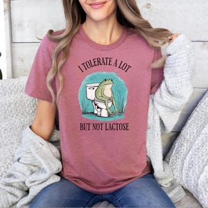 May include: A pink t-shirt with the text "I tolerate a lot but not lactose" and a cartoon frog sitting on a toilet.