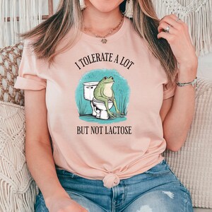 May include: A pink t-shirt with the text "I tolerate a lot but not lactose" and a cartoon frog sitting on a toilet.