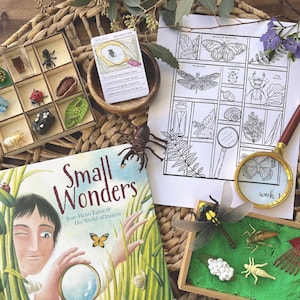 May include: A book titled "Small Wonders: Jean-Henri Fabre & His World of Insects" by Matthew Clark Smith, illustrated by Giuliano Ferri. The book cover features a child looking through a magnifying glass at a butterfly and a snail. The book is surrounded by a variety of insect-themed toys and activities, including a magnifying glass, a bug box, and a sand tray with plastic insects.