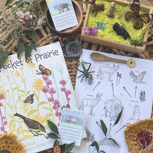 Può includere: Un primo piano di un libro per bambini intitolato "Pocket of Prairie" con illustrazioni di animali e piante della prateria. Il libro è aperto a una pagina con un uccello giallo e una farfalla. C'è una piccola carta con del testo su Louis L'Amour, uno scrittore che ha vissuto avventure d'infanzia nella prateria. C'è anche un foglio di lavoro con un diagramma di rete alimentare di animali della prateria.
