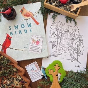 May include: A collection of bird-themed educational items. Includes a book titled "Snow Birds", a coloring page, wooden bird toys, and a wooden tree puzzle. A wooden tray holds birdseed and small wooden birds. Greenery accents the display.