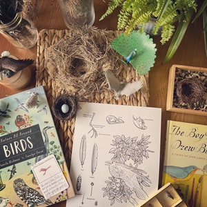 Birds, John James Audubon and Edgar Allan Poe Unit Study