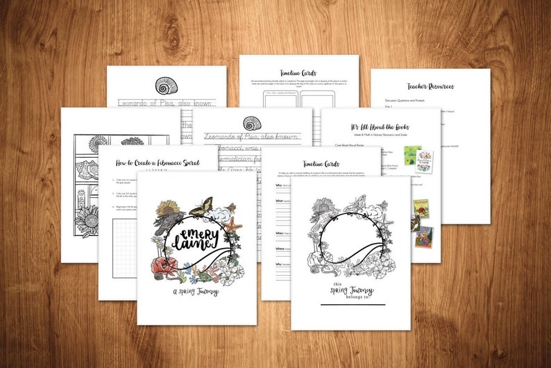 math-in-nature-snails-and-fibonacci-unit-study-etsy