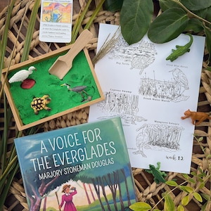 Peut inclure: Un ensemble éducatif pour enfants comprenant un livre intitulé "A Voice for the Everglades", un bac à sable avec des animaux jouets, un dessin des habitats des Everglades et une carte avec du texte sur Marjory Stoneman Douglas.