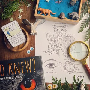 May include: A close-up of a book titled "O Knew? The Truth About Owls" with a large orange owl eye on the cover. The book is surrounded by various owl-themed items, including a small owl figurine, a drawing of an owl, and a magnifying glass. The image also includes a small wooden box with a blue sand-like material inside, and a few small stars.