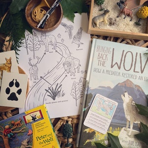 Wölfe, Tierspuren und Peter und der Wolf Einheitsstudie
