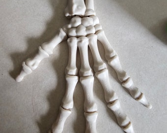 3d printed left or right skeleton hand