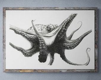 Pacific Octopus; Original Pen and Ink Art by Kyle St. George