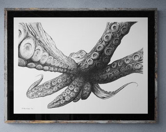 Curious Pacific Octopus; Original Pen and Ink Art by Kyle St. George