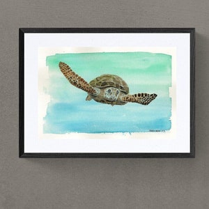 Hawksbill Sea Turtle Art Print – Original Watercolor of Turtle Swimming in Caribbean Ocean – Marine Life Wall Decor by Kyle St. George