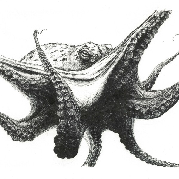 Octopus Ink Pen Etsy Canada