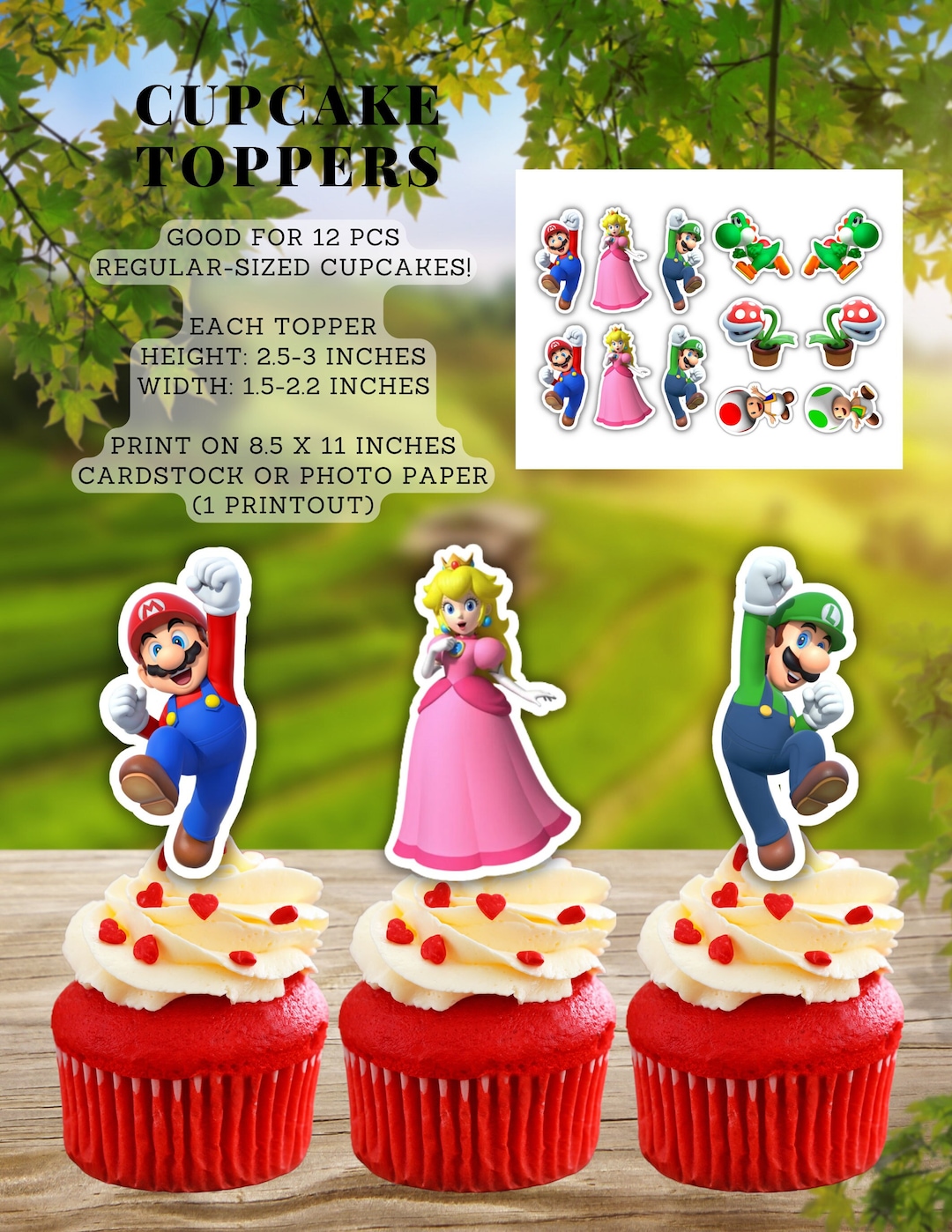 Super Mario Cupcake Toppers, Super Mario Brothers Cupcake Toppers, 12 ...