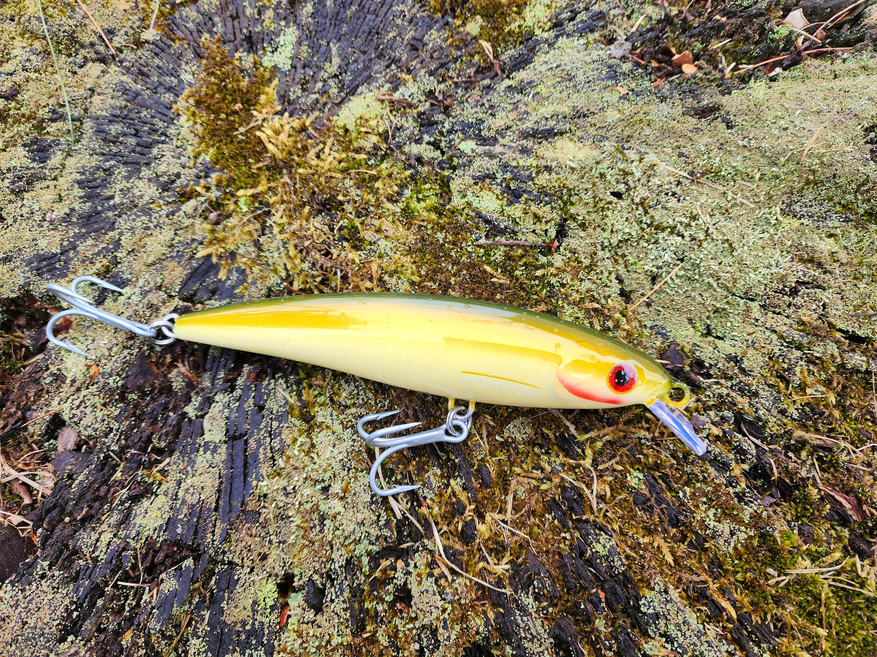 6" Greenback RIZZ minnow, striped bass lures, bluefish lures, pike lures, surf fishing lures, custom fishing lures, jerkbaits