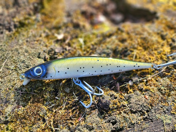 best lures for cape coral canal fishing Fishing vacation