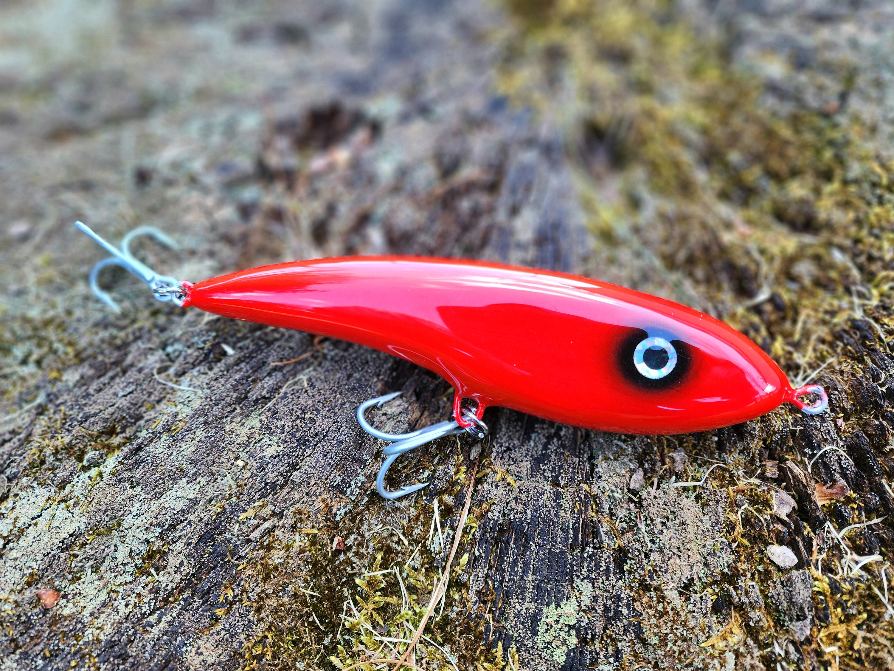 6.2 Blood Moon Body Snatcher Glide Bait, Handmade Fishing Lures, Saltwater  Lures, Musky Lures, Tuna Lures, Surf Fishing Lures, Bass Lures 