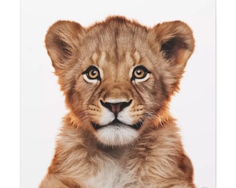 May include: A close-up portrait of a brown lion cub with bright yellow eyes looking directly at the camera. The cub has a light brown nose and a light brown muzzle. The background is white.