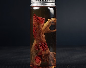 Walking Dead Zombie Jar Xenomorph Specimen body parts horror Specimen experiment Movie Prop