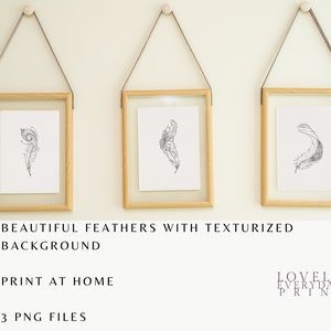 Set of 3 Feathers Poster Wall Art, Minimalist Digital Download, Chic Living Room Decor, Housewarming Gift Idea
