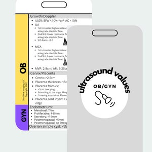 Ultrasound Values Badge Buddy (ob/gyn *extra Measurements/details*) - Etsy