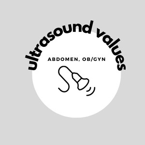 Ultrasound Values Badge Buddy abd&ob/gyn - Etsy