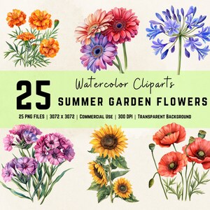 Flores de verão Cliparts Jardim Gráficos florais Pacote Agapanthus Flor Rosas Margaridas PNG Girassóis PNG Download instantâneo Uso comercial