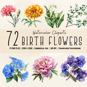 Lot de cliparts fleur de naissance | Fleur mensuelle PNG | 72 aquarelles fleurs de naissance | Mois de naissance floral | Bouquets de fleurs de naissance à téléchargement immédiat