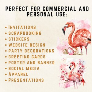 Flamingos Watercolor Clipart Bundle: Cute Pink Flamingo Designs ...