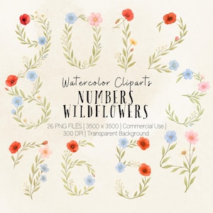 Wildblumen Zahlen PNG, Florale Ziffern Clipart, Botanische Zahlen, Aquarell Wildblumen PNG, Floral Art Bundle, individuelle Babyshower