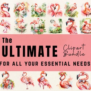 Flamingos Watercolor Clipart Bundle: Cute Pink Flamingo Designs ...