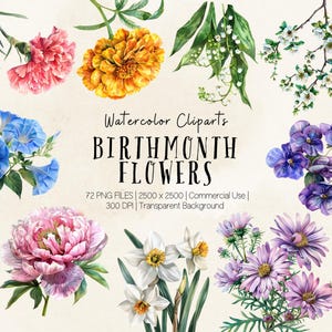 Birthflower Cliparts Bundle | Monthly Flower PNG | 72 Watercolor Birth Flowers | Birth Month Floral | Birth Flower Bouquets Instant Download