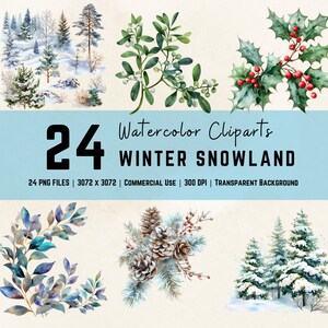 Paquete de imágenes prediseñadas de Winter Snowland Ilustraciones de flores de plantas botánicas Paquete de flora de invierno Uso comercial Descarga digital Gráficos PNG