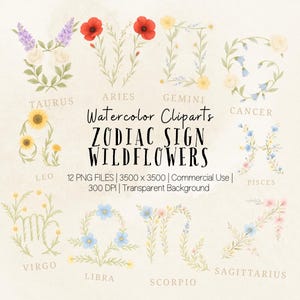 Personalisierte Sternzeichen Wildblumen Zeichen, Geburtsblumen PNG Bündel, individuelles Babygeschenk, Wildblumen Zeichen, Aquarell Clipart, Blumen Babyshower