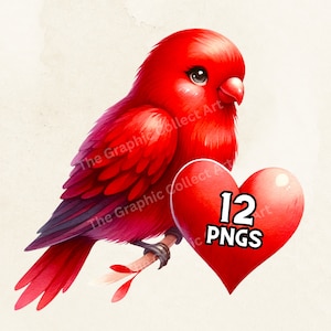 Aquarela Lovebirds Clipart Dia dos Namorados Gráficos Cartão de Dia dos Namorados Fazendo Ilustrações Românticas de Pássaros Flor Download Digital