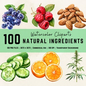 Ingrédients naturels Bundle de cliparts fruits PNG pour soins de la peau beauté personnelle usage commercial plantes biologiques légumes art numérique
