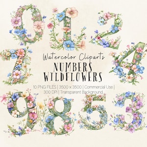 Aquarelle fleurs sauvages numéros PNG, Clipart chiffres floraux, Art de bouquet de mois de naissance, lot de numéros botaniques, conception de sublimation de cadeau personnalisé